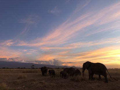 A Former Military Operative Sets Sights on Poachers